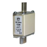 Wkładka bezpiecznikowa (topikowa) NH00 63A 250V DC | 004110130 Eti