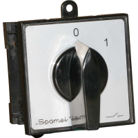 Łącznik rzywkowy 25A, rozłącznik 0-1 (4-biegunowy), mocowanie bazo szynowe czoło szare pokrętło C | SK25-2.8210\BS03 Spamel