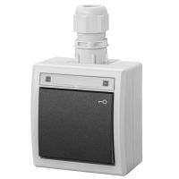 Łącznik natynkowy zwierny klucz IP65 szary 7035/7016, AQUANT 2K | 5007-65 Elektro-Plast Nasielsk
