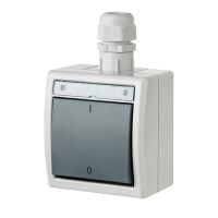 Łącznik n/t 2-biegunowy IP55, szary 7035/7043, Aquant | 1203-65 Elektro-Plast Nasielsk