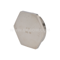 Zaślepka MDZ 48 | E03DK-04050101003 Ergom