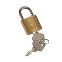 Kłódka do blokowania dźwigni załączającej dla TX3 I DX3 | 406313 Legrand