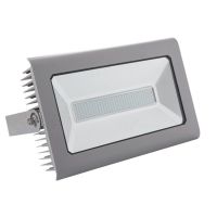 Naświetlacz LED Antra 200W-NW GR 200W 15000lm 4000K IP44, szary | 25700 Kanlux