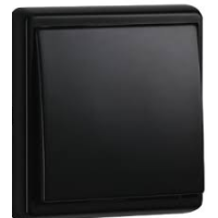 Plakietka gniazda z/u IP44 APOLO5000 czarny MAT | 50654TPM Efapel