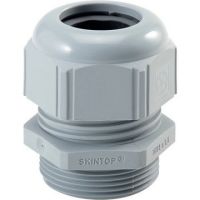 Dławnica SKINTOP ST M 20x1,5 ISO srebrnoszary | 53017030 Lapp Kabel