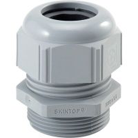 Dławica kablowa SKINTOP ST PG 21 RAL 7035 LGY | 53018050 Lapp Kabel