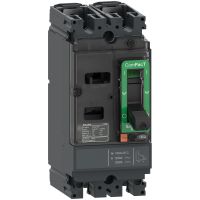 Wyłącznik NSX100F ComPact NSX 18kA AC-DC 2P 40ATMD | C10F2TM040 Schneider Electric