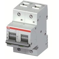 Wyłącznik nadprądowy 2P D 50A 16kA, S802B-D50 | 2CCS812001R0501 ABB