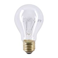 Żarówka wstrząsoodporna 100W E27 110-127V | SYG-2099 Helios