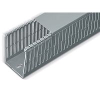 Korytko grzebieniowe drobnoperforowane BKDP-60X100 | BKDP-60X100 Trytyt