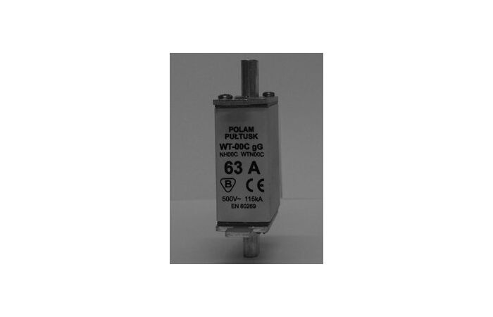 Wkładka topikowa przemysłowa bezpiecznikowa NH00C 32A gG 500V WT-00C (zwłoczna) $ | 004111433 Eti